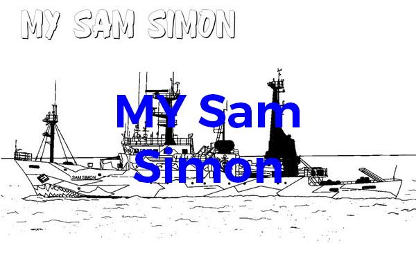 Colouring NN Sam Simon