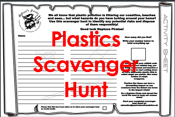 Activity Scavanger Hunt Plastics