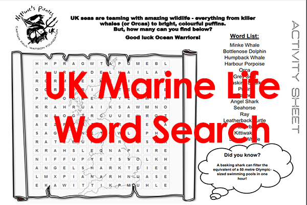 Activity Wordsearch UK Marine Life