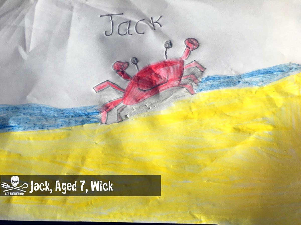 competition 2020 06 winner Jack age 7 Wick